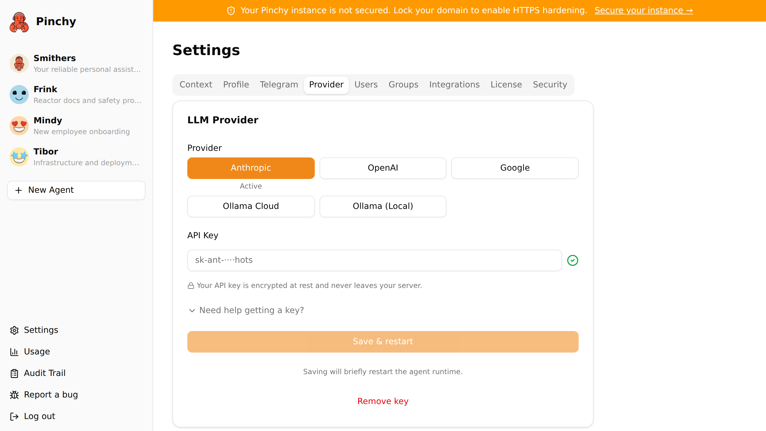 Pinchy provider settings — configuring Ollama as a model provider